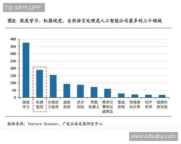 成都篮球队的转型之路：深度解析与未来展望